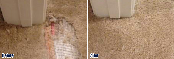Pet Damaged Carpet Repair Agoura Hills CA